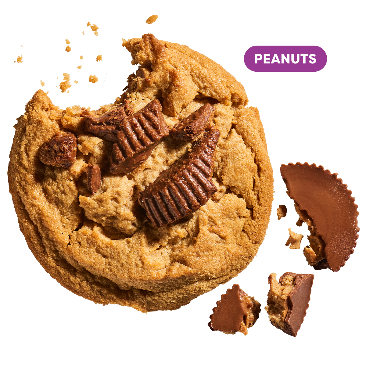 Chocolate Peanut Butter Cup